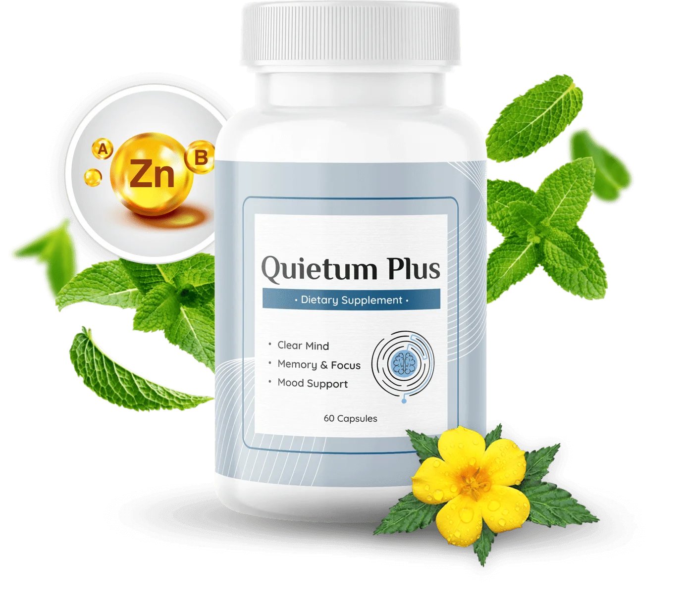 Quietum Plus Ear Supplement